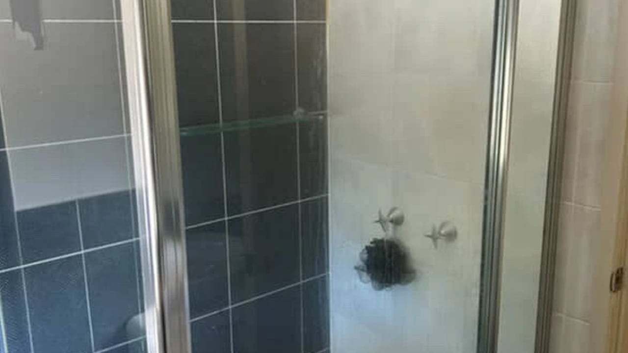 Room with ensuite in a flatshare