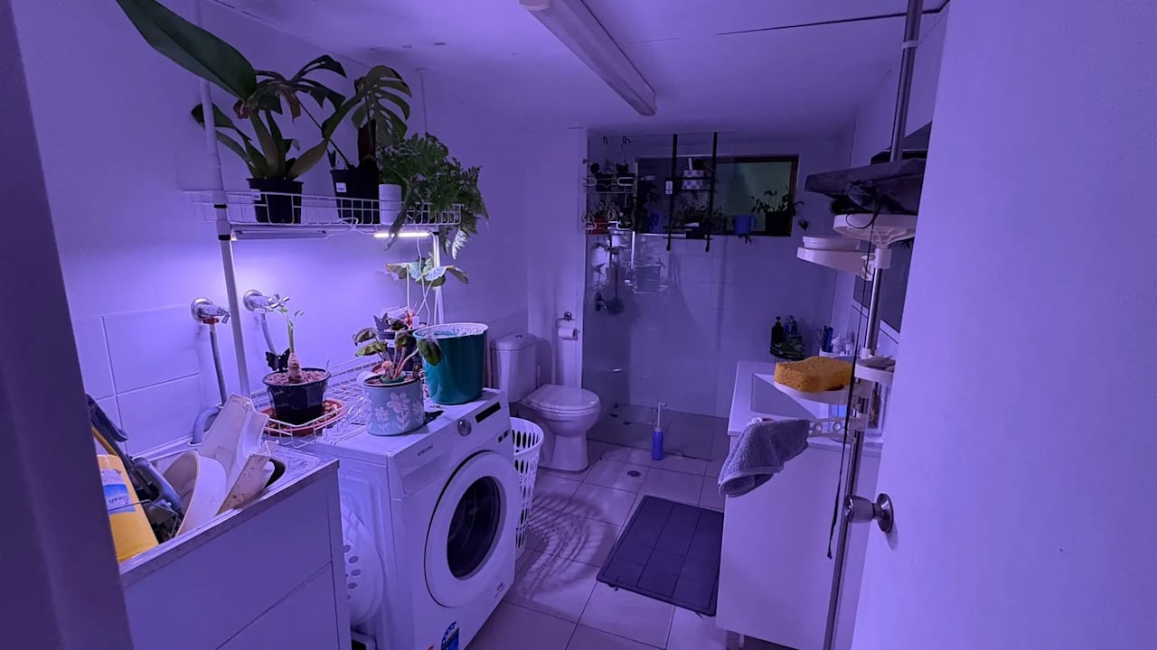 Unfurnished room with own bathroom