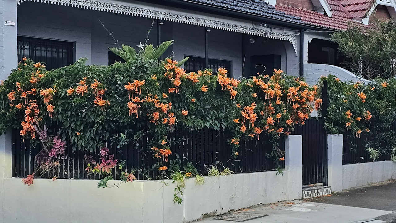 Whole property with 4 rooms for rent