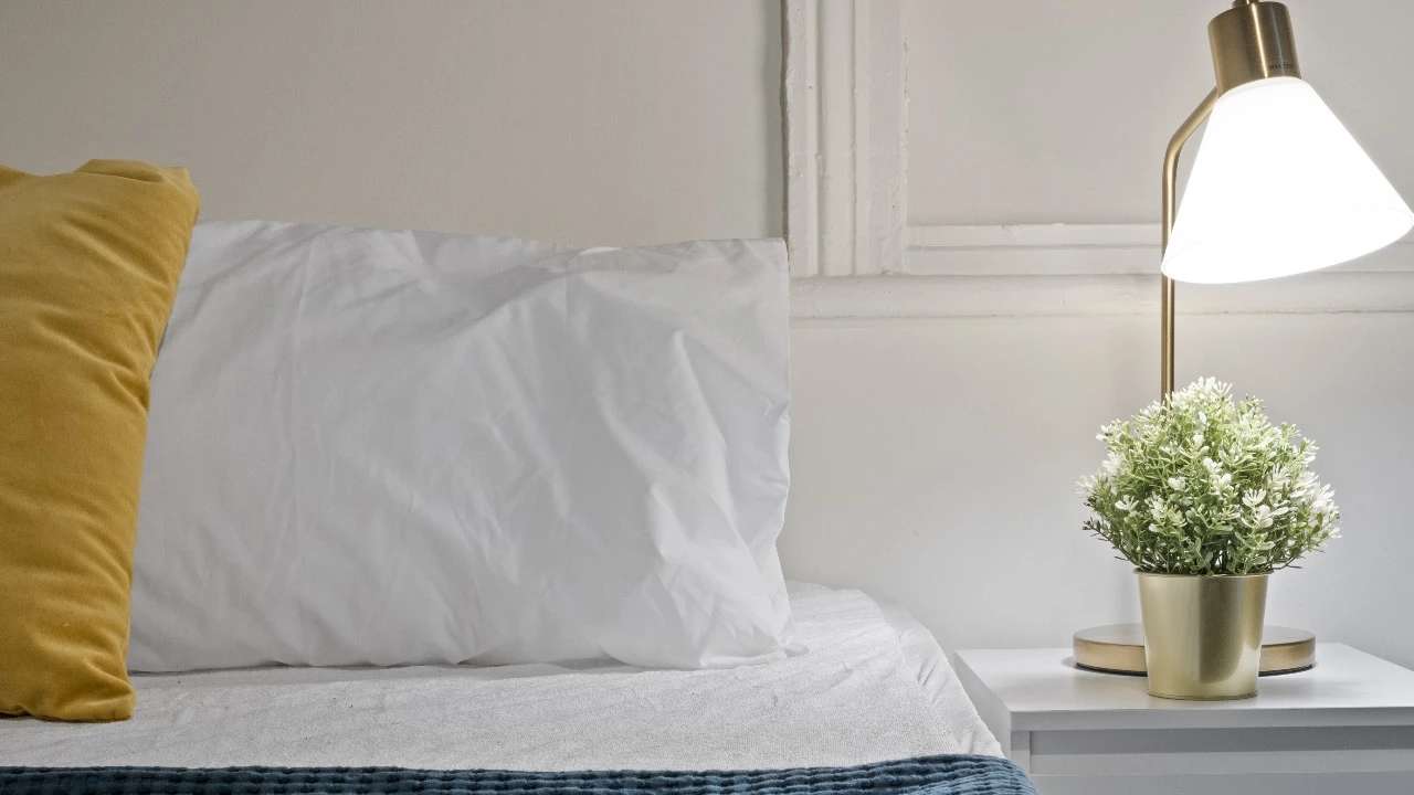 Furnished room studio flat for rent