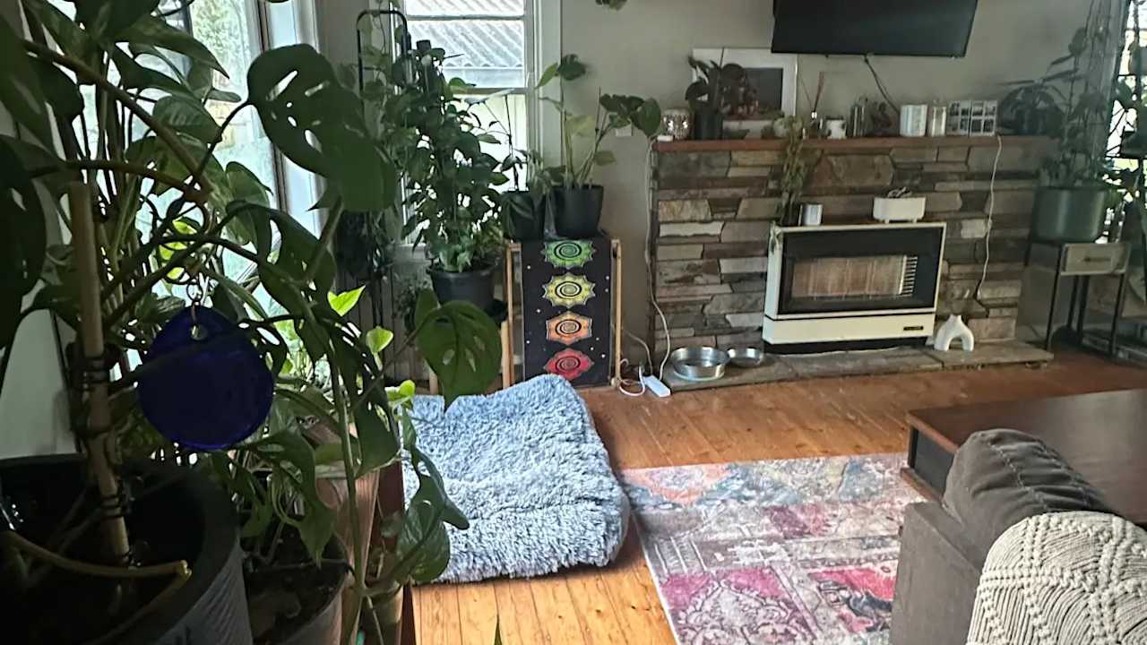 Unfurnished room in a share house