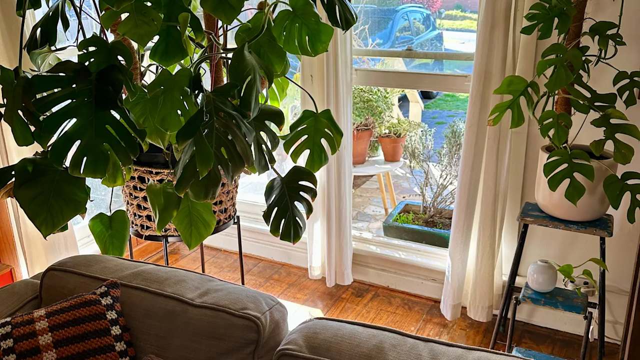 Unfurnished room in a share house