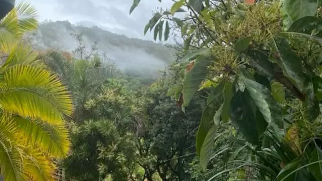 Furnished room granny flat for rent