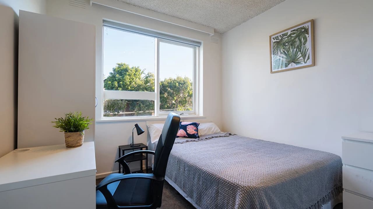 Whole property with 3 rooms for rent