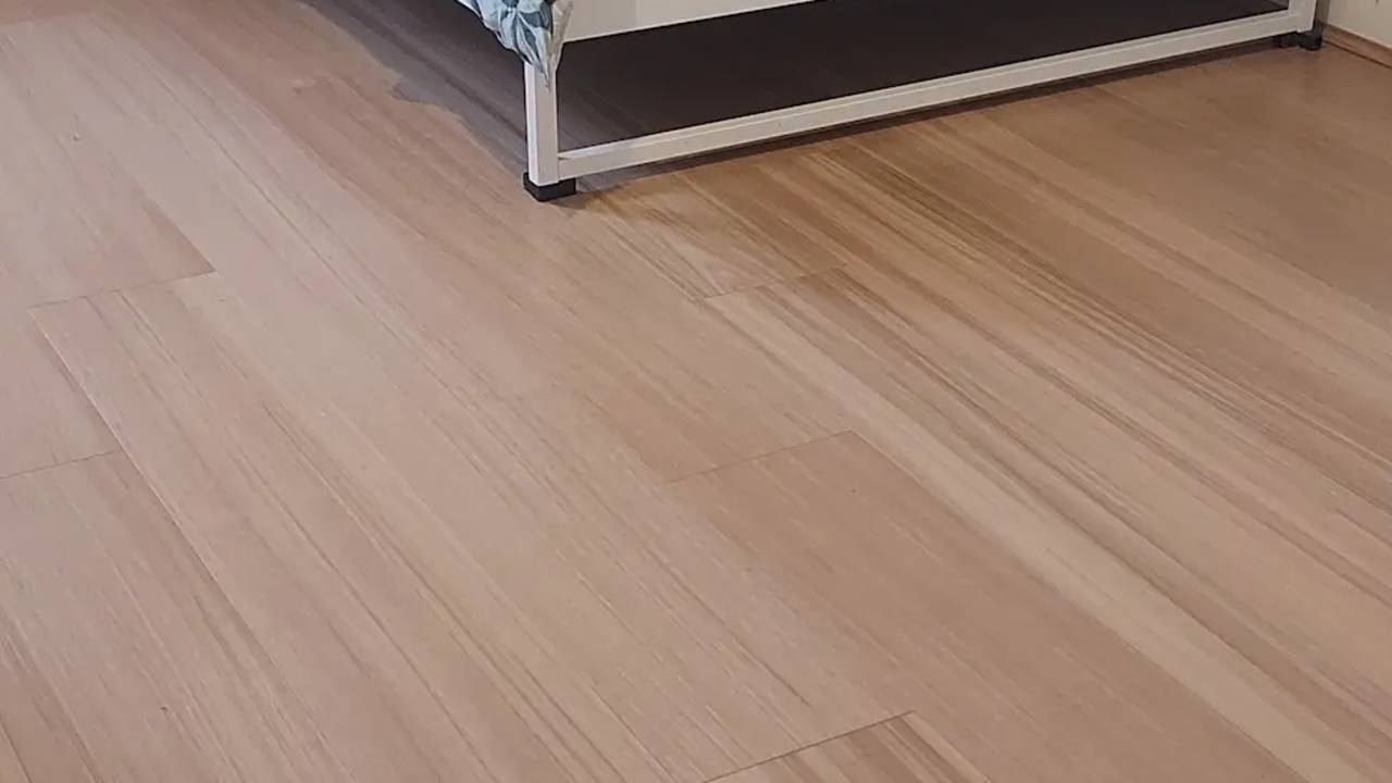 Whole property with 1 room for rent