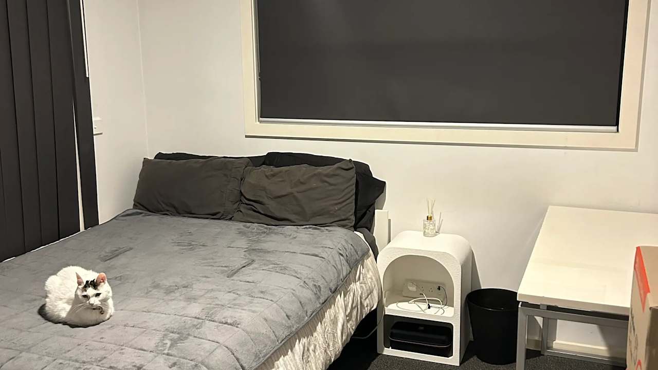 Furnished room in a flatshare