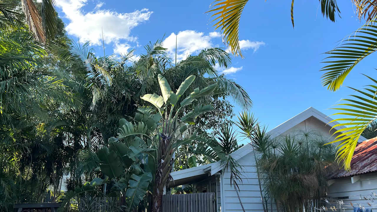 Furnished room granny flat for rent