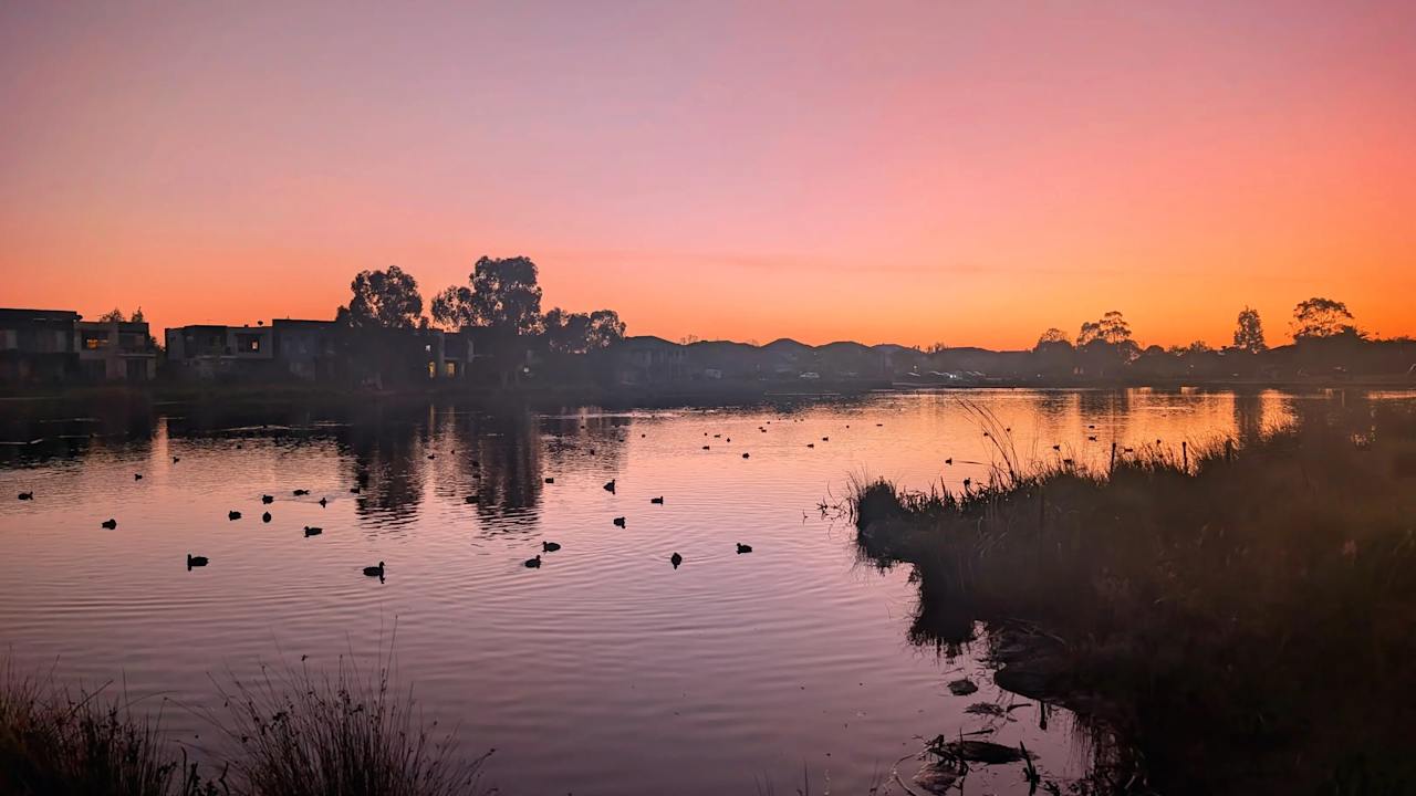 Room in a share house