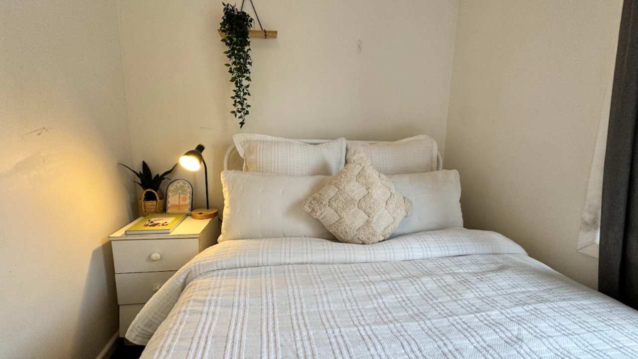 Whole property with 5 rooms for rent