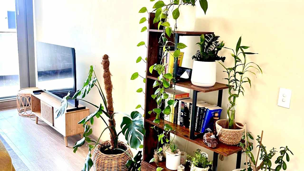 Furnished room with own bathroom