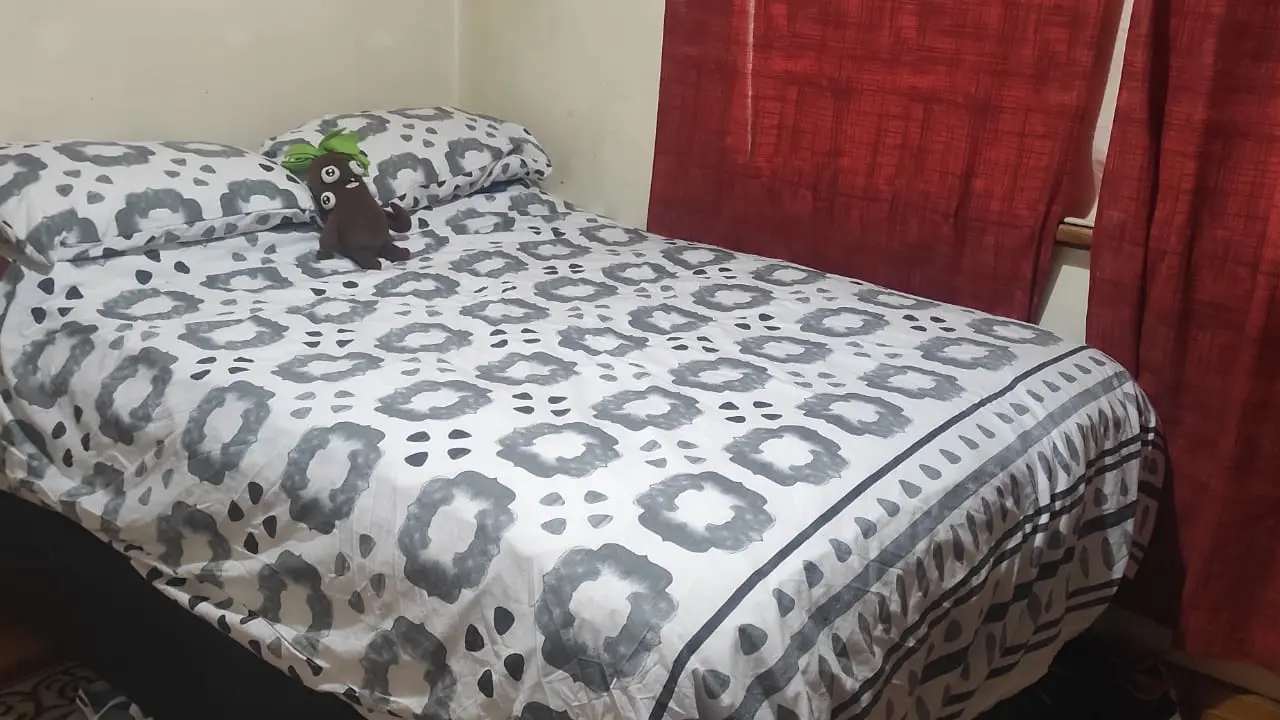 Room in a share house
