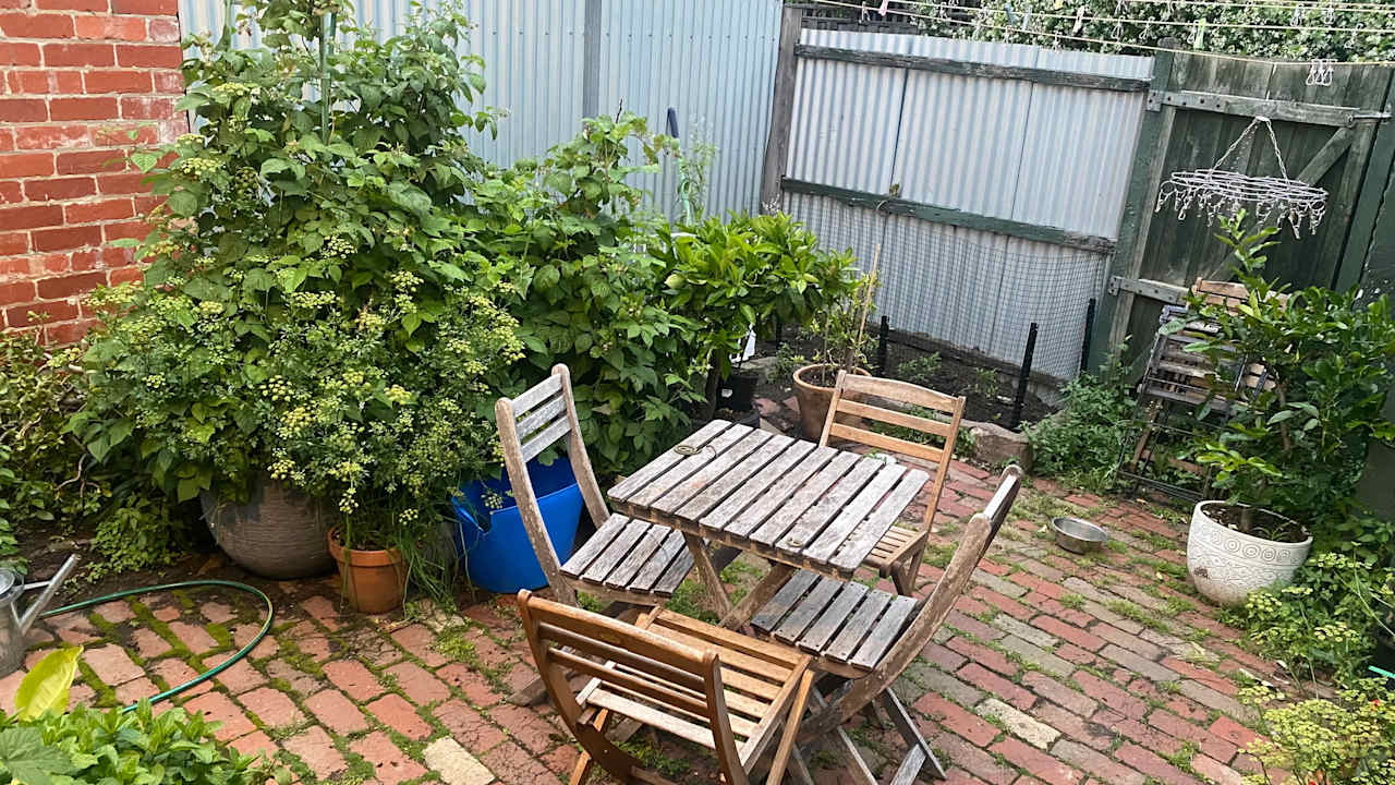 Unfurnished room in a share house