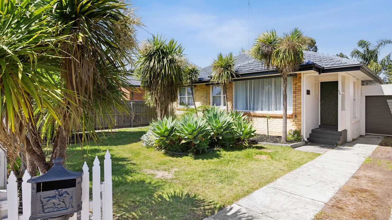 Whole property with 3 rooms for rent