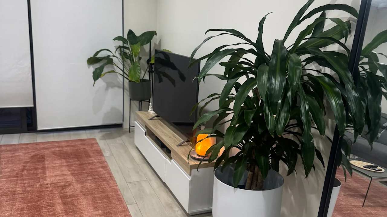 Unfurnished room with own bathroom