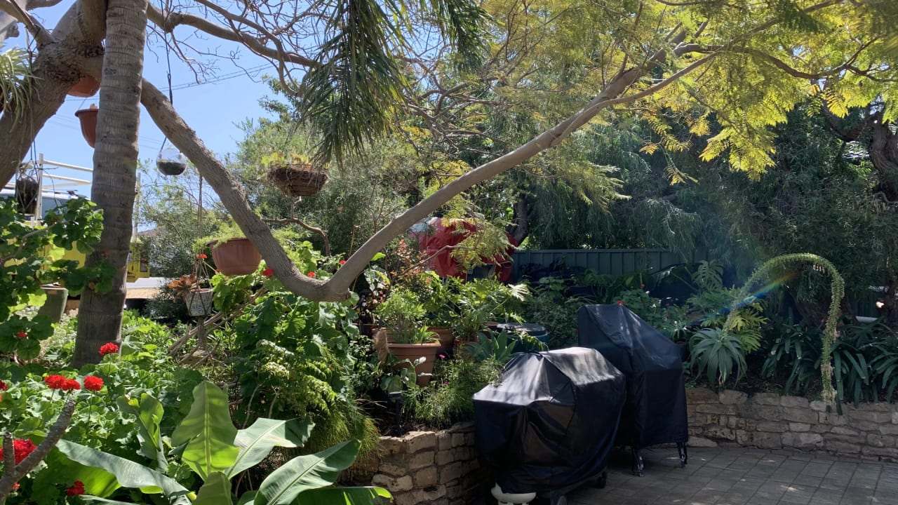 Whole property with 4 rooms for rent