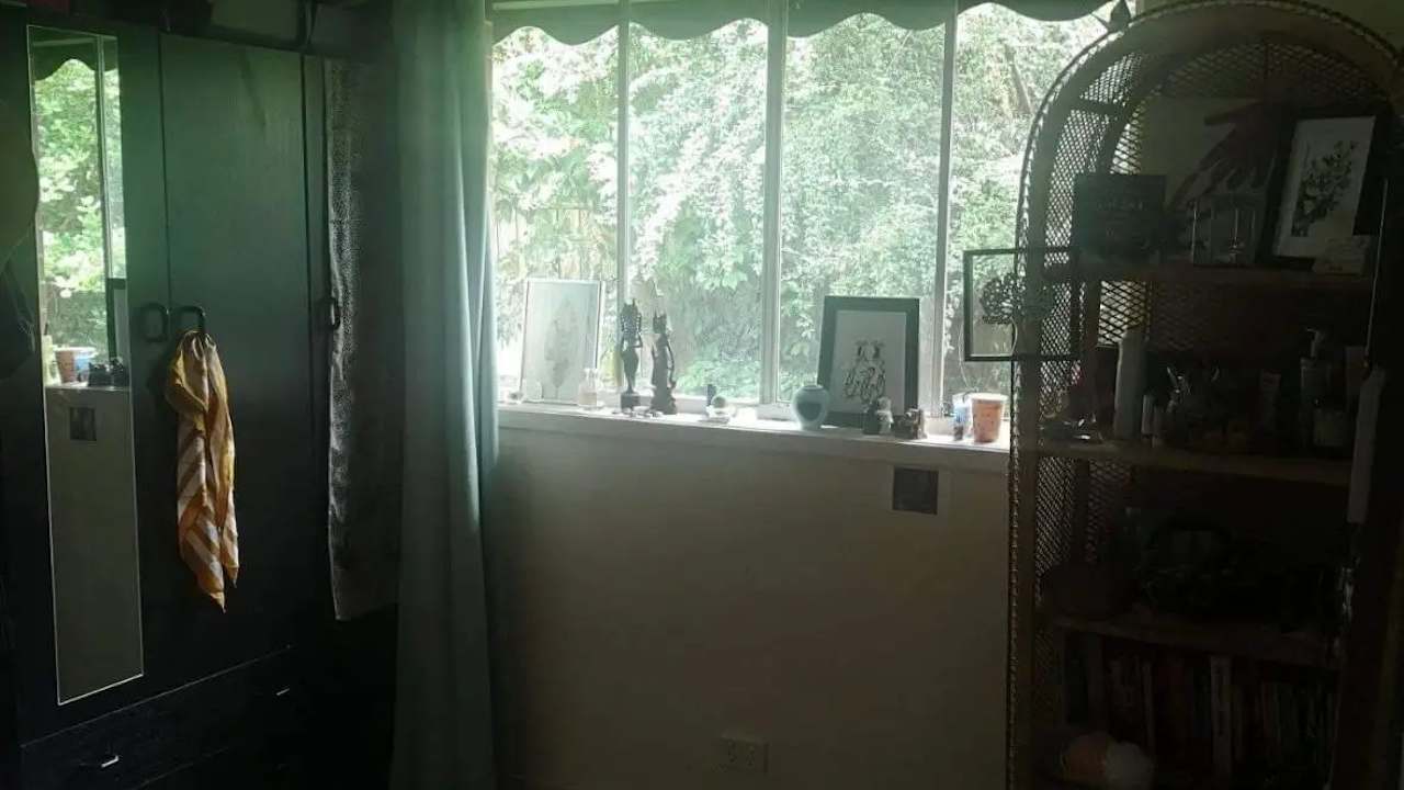 Room in a share house