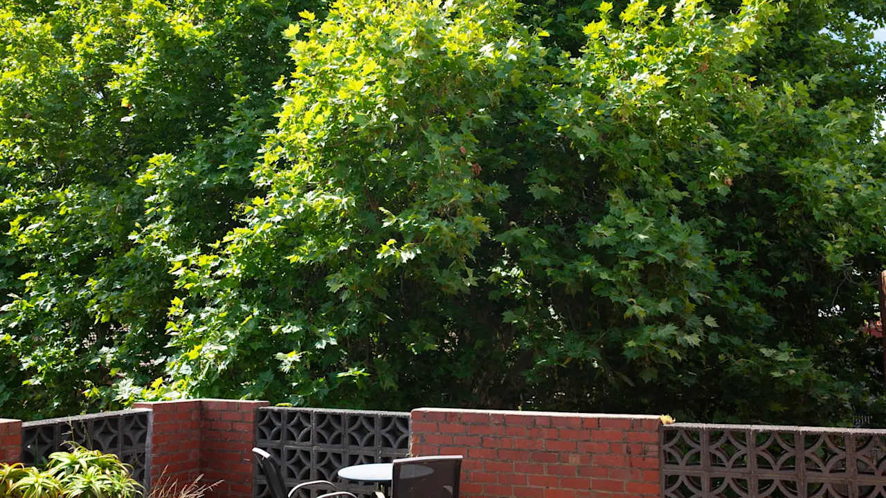 Whole property with 3 rooms for rent