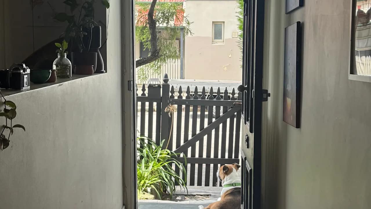 Whole property with 3 rooms for rent