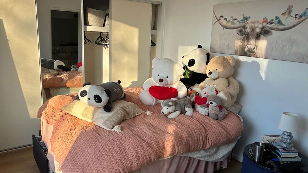 Furnished room in a share house