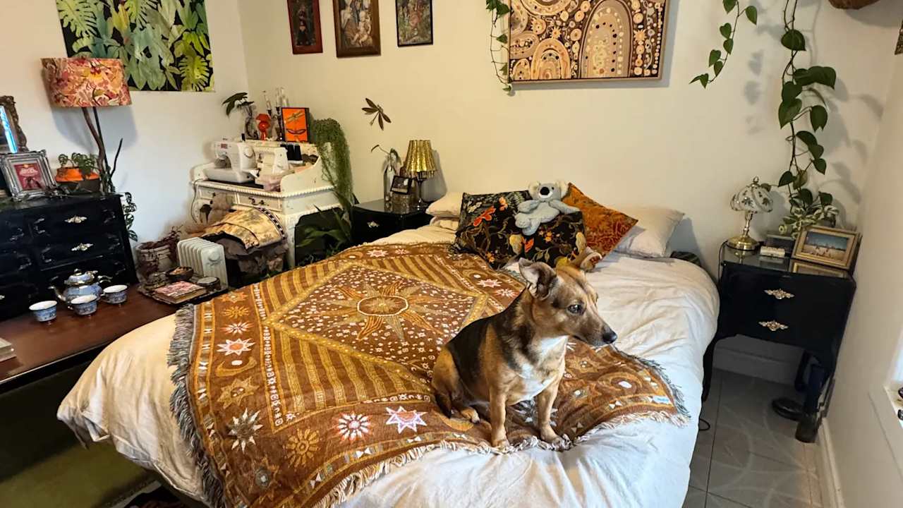 Furnished room in a share house