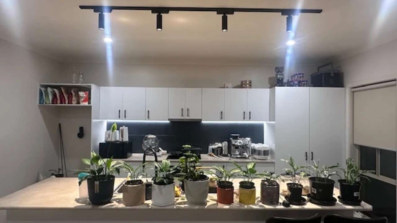 Room in a share house