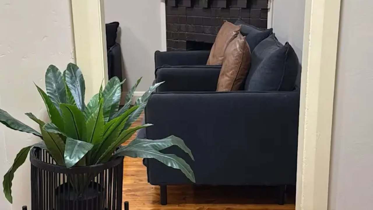 Whole property with 3 rooms for rent