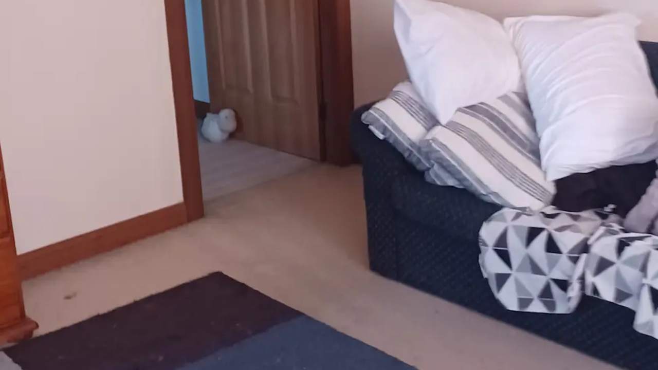 Room with ensuite in a share house