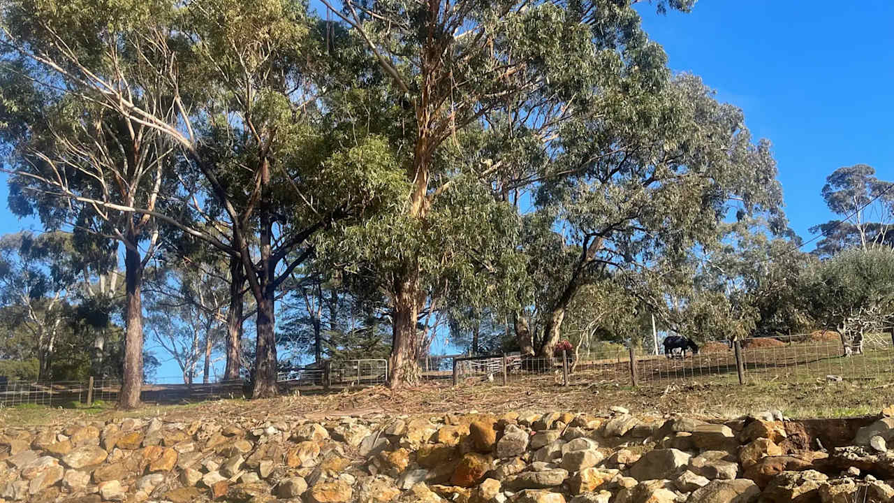 Unfurnished room with ensuite in a share house