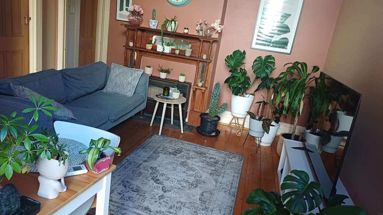 Unfurnished room in a share house