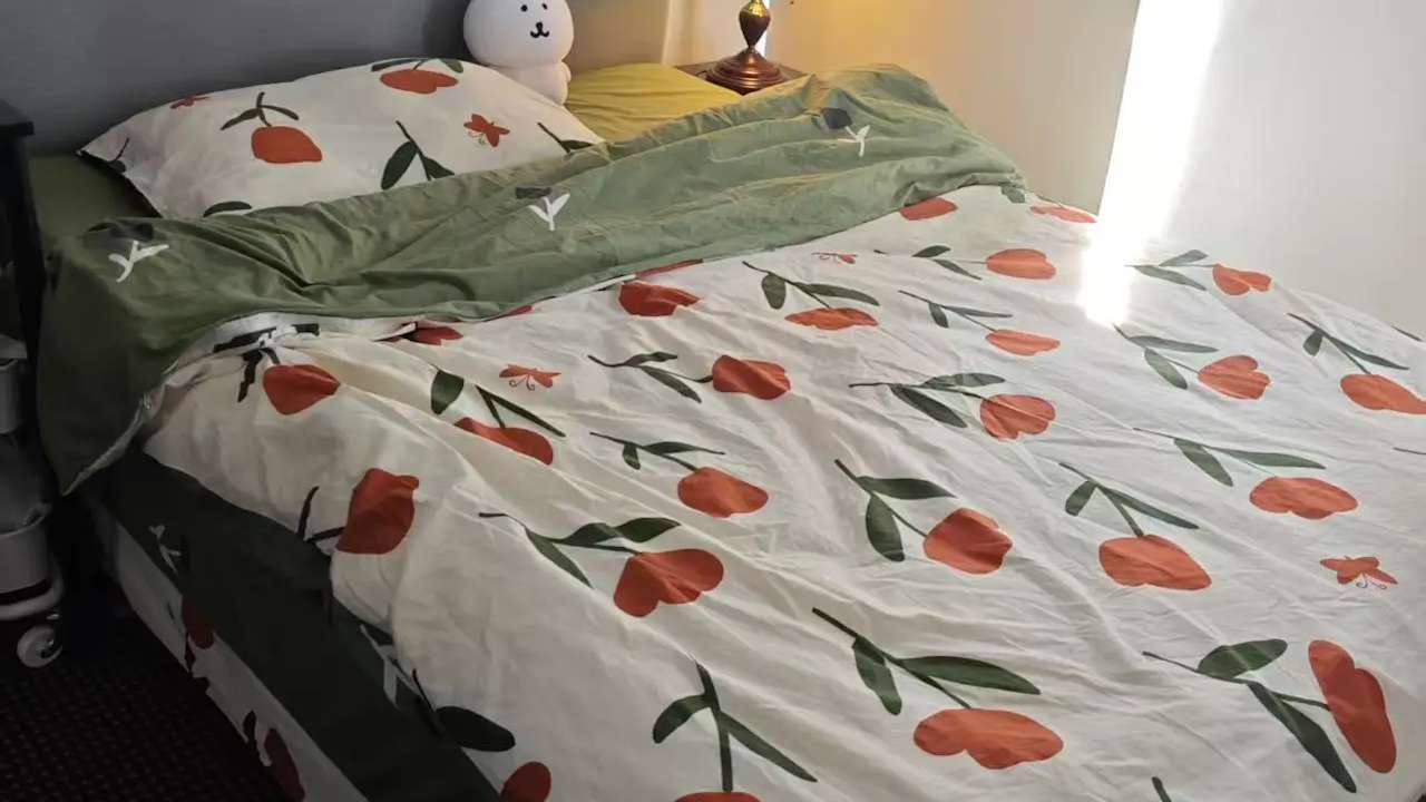 Furnished room with own bathroom