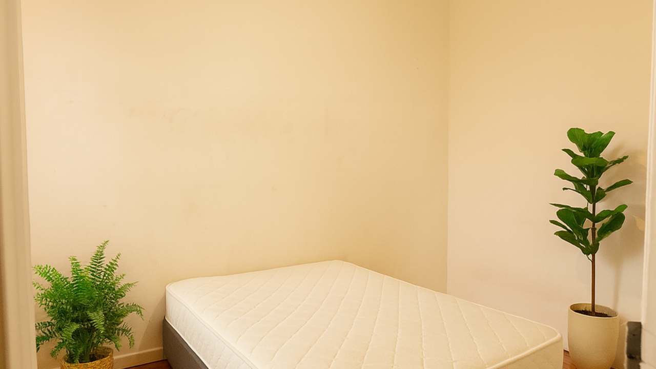 Furnished room in a flatshare