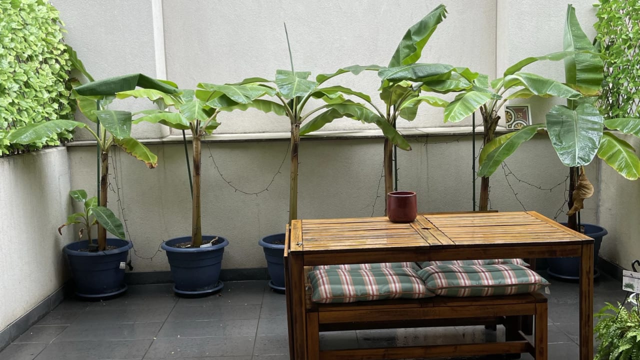 Room in a flatshare