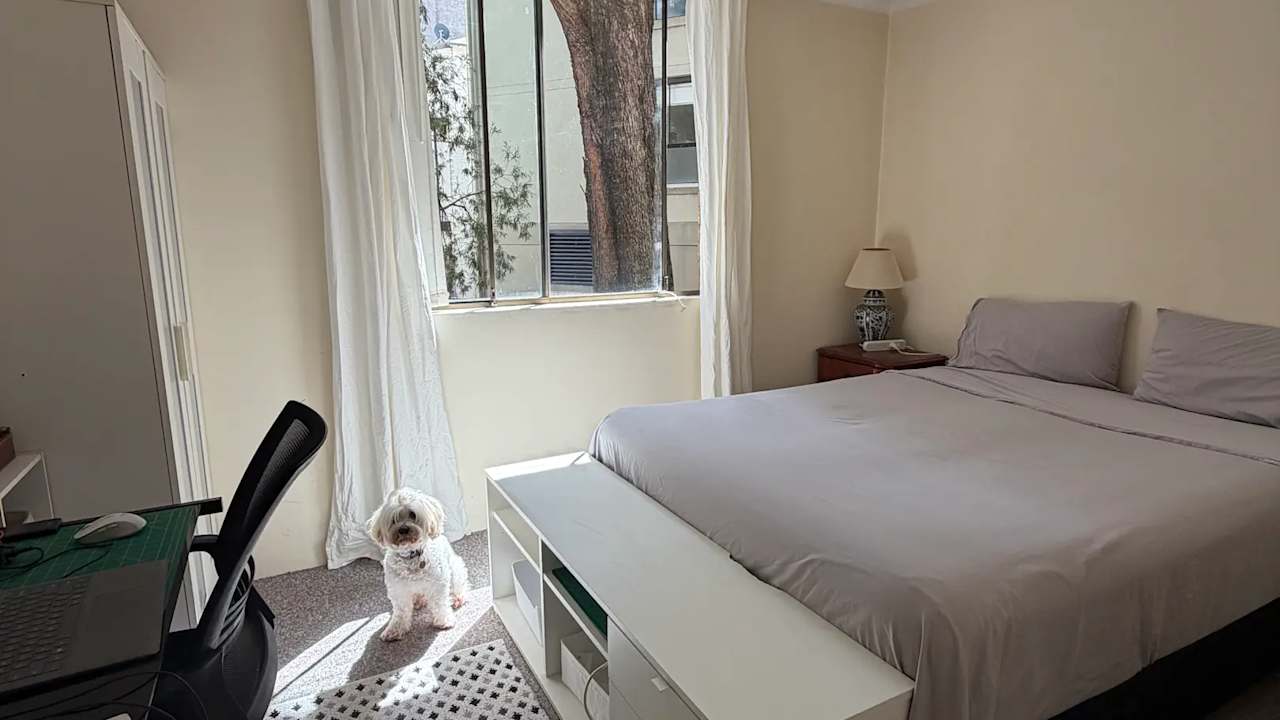 Furnished room in a flatshare