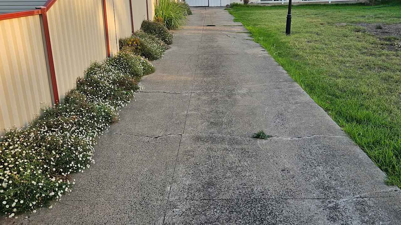 Whole property with 3 rooms for rent