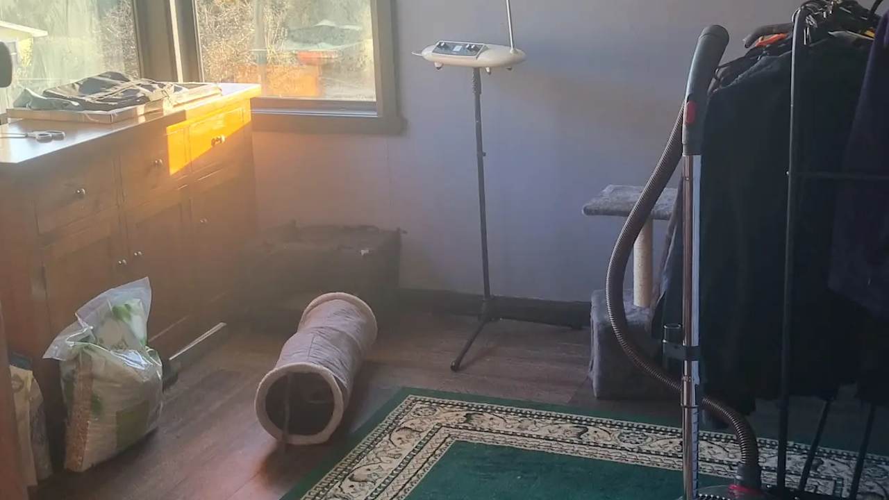 Unfurnished room in a share house