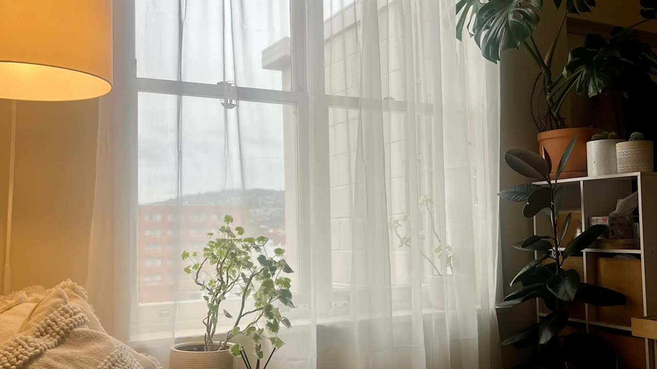 One bed flat for rent