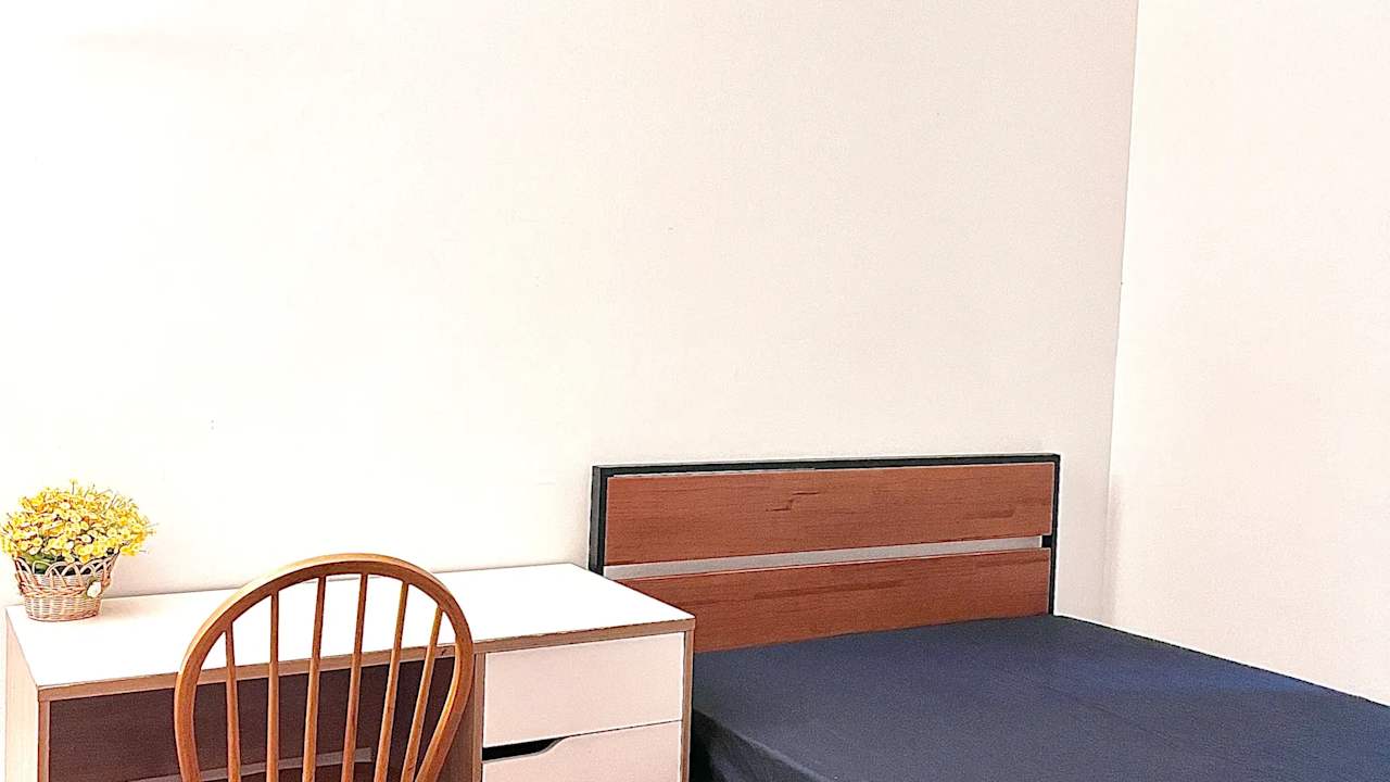 Whole property with 3 rooms for rent