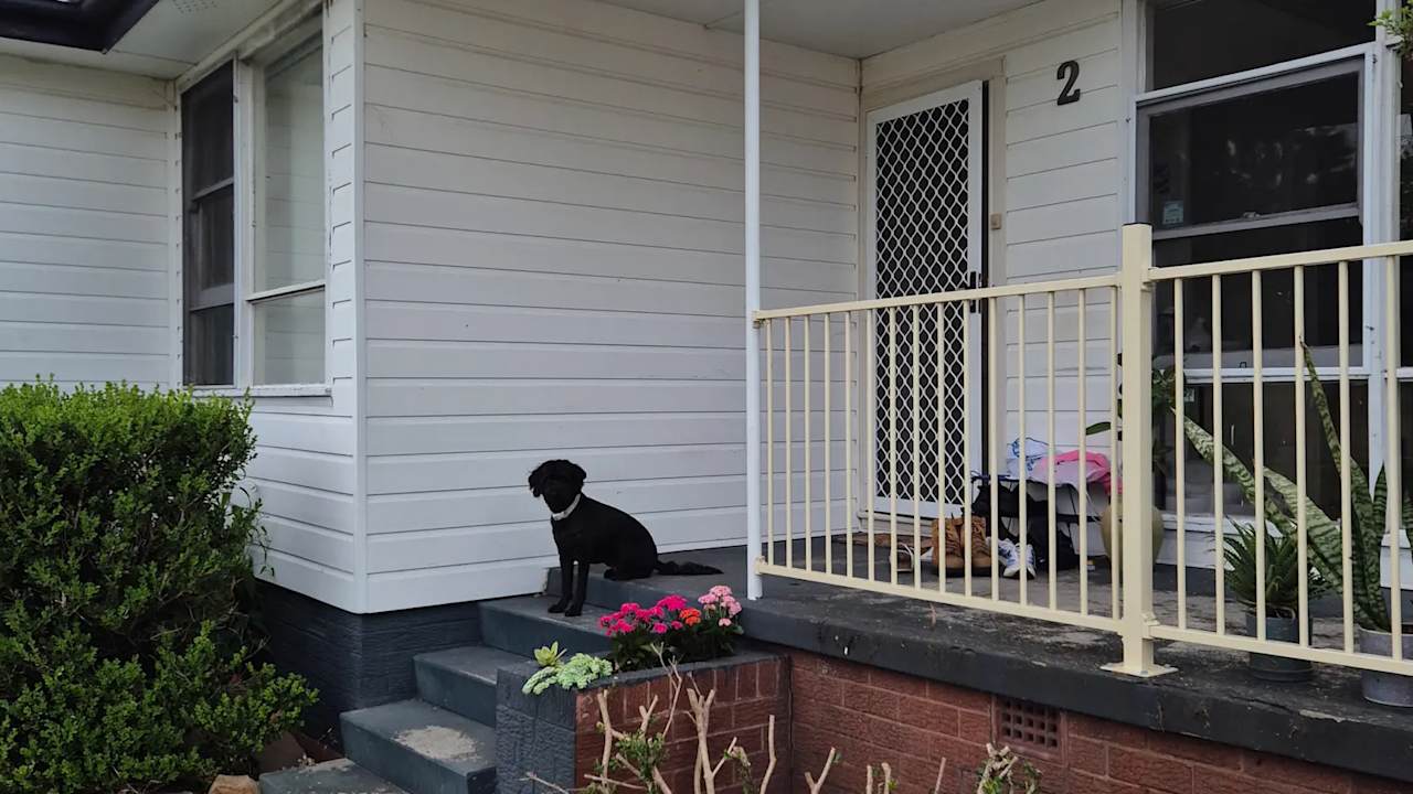 Room in a share house