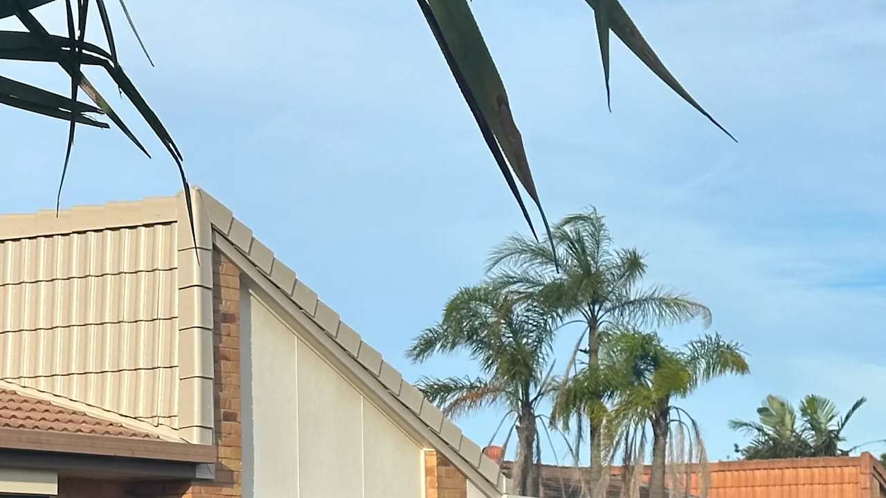 Whole property with 3 rooms for rent