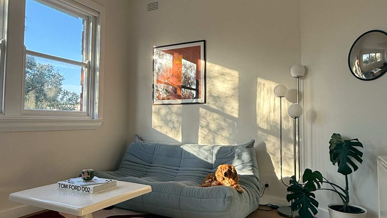 Furnished room in a flatshare