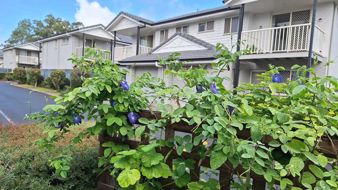 Whole property with 3 rooms for rent