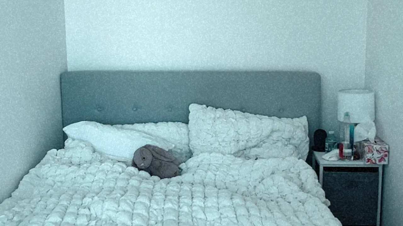 Whole property with 2 rooms for rent