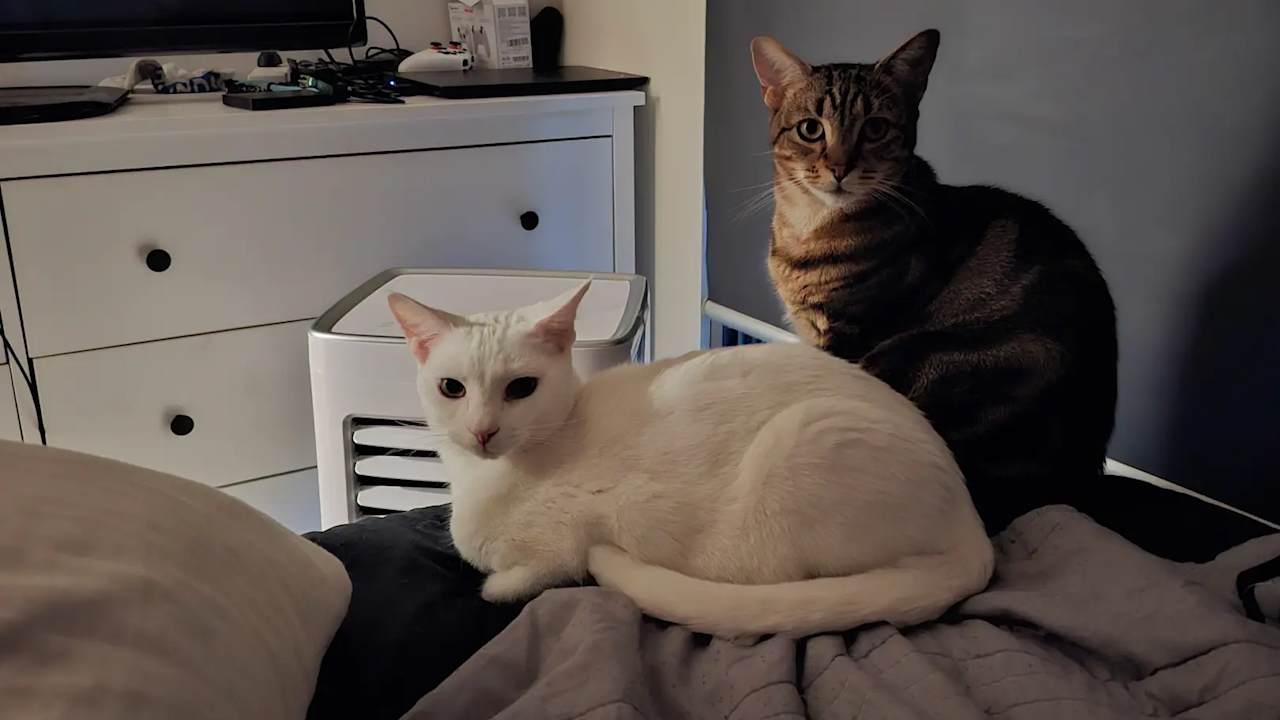 Student accommodation