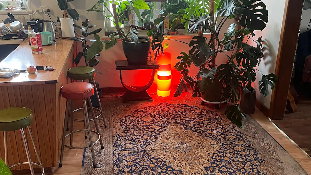 Room in a share house