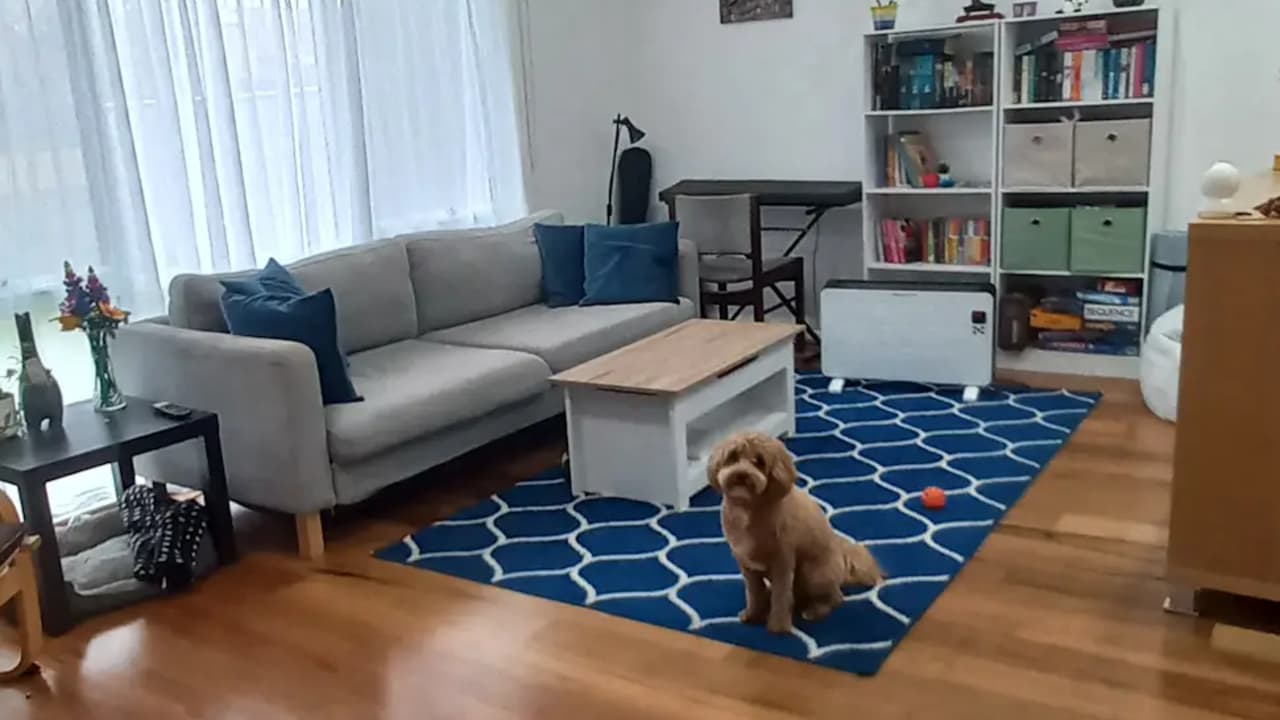Unfurnished room in a share house