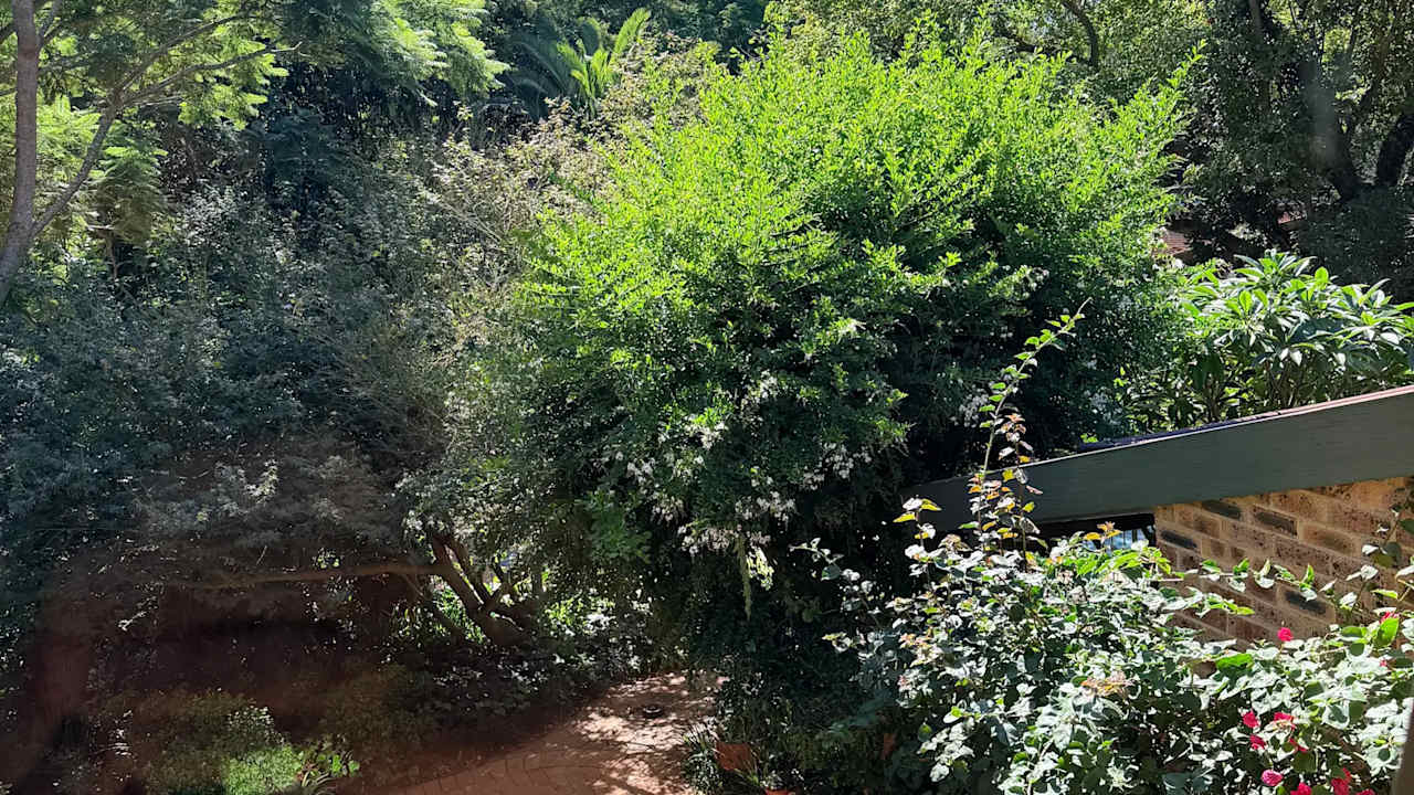 Furnished room granny flat for rent