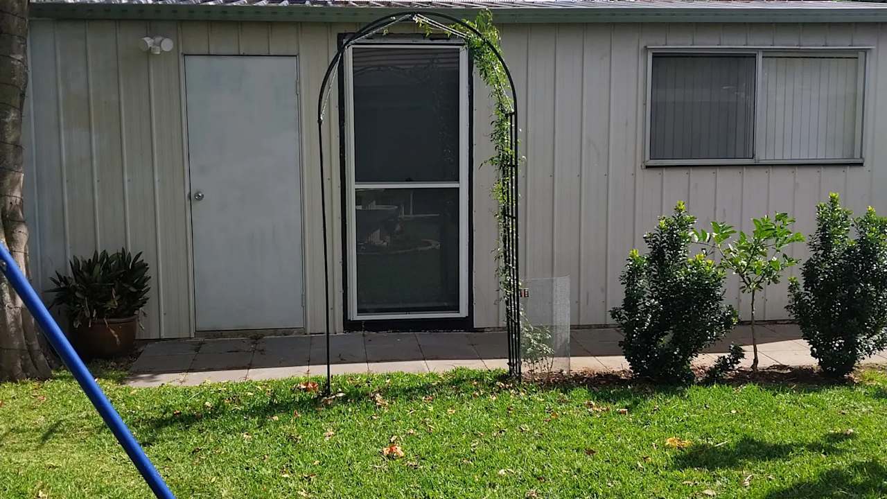 Whole property with 1 room for rent