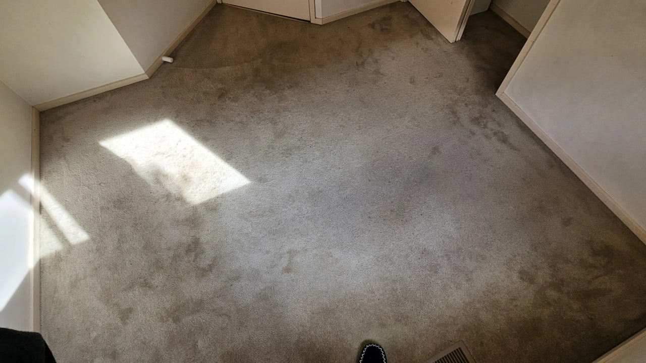 Room in a share house