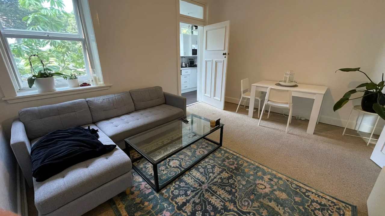 Whole property with 6 rooms for rent