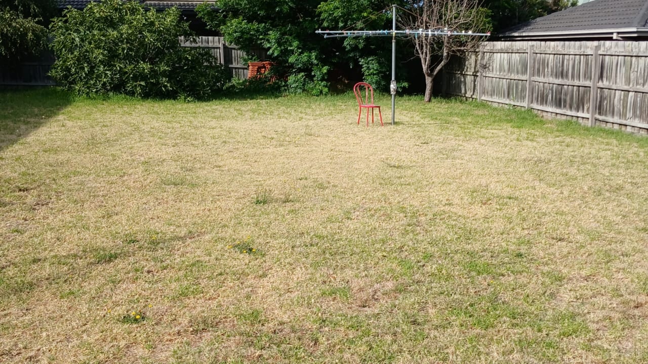 Unfurnished room in a share house